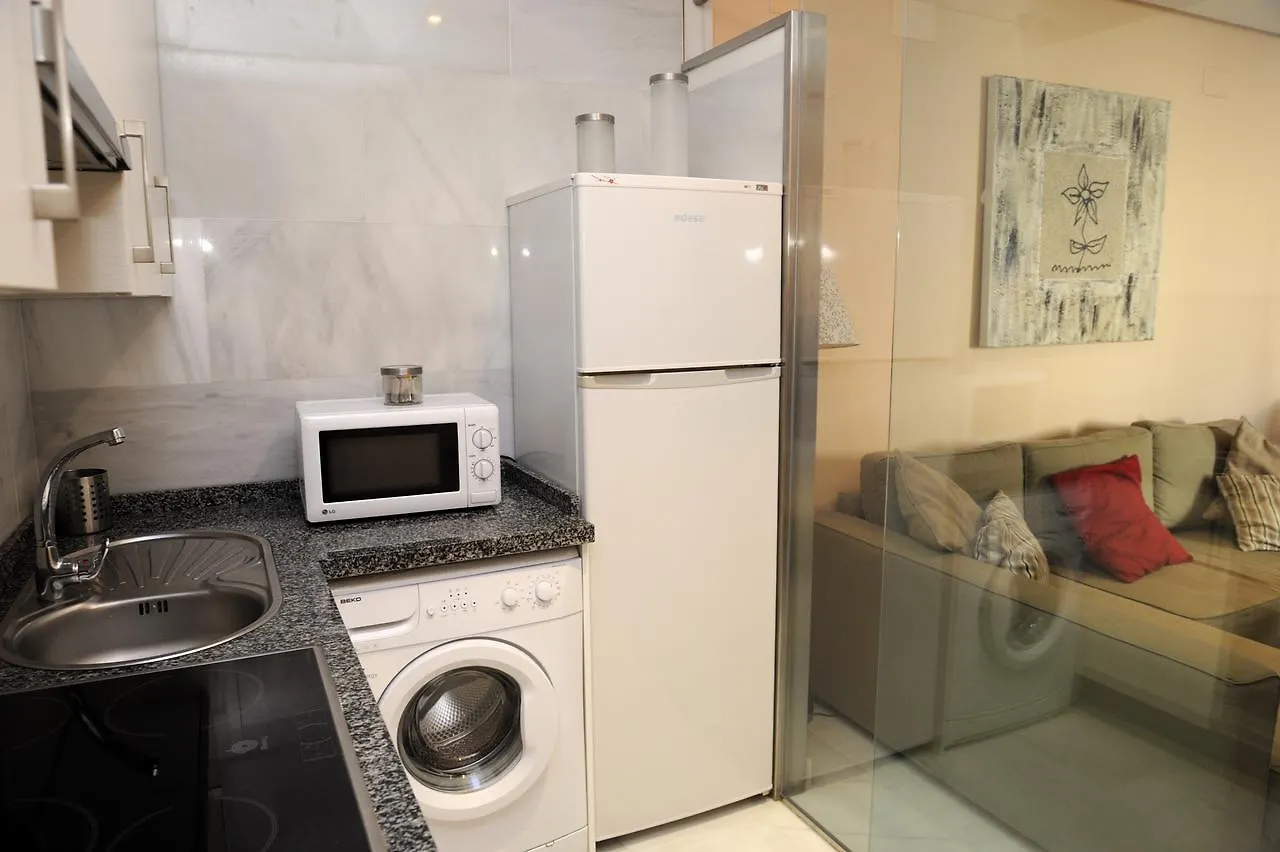 Apartamento Atico Duplex Plaza Del salvador Sevilla
